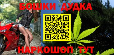 шишки Абинск