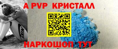 стафф Братск